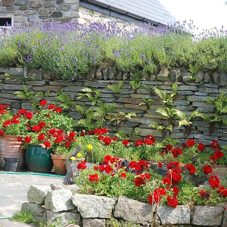The Elephants Nest Inn Marytavy Dış mekan fotoğraf