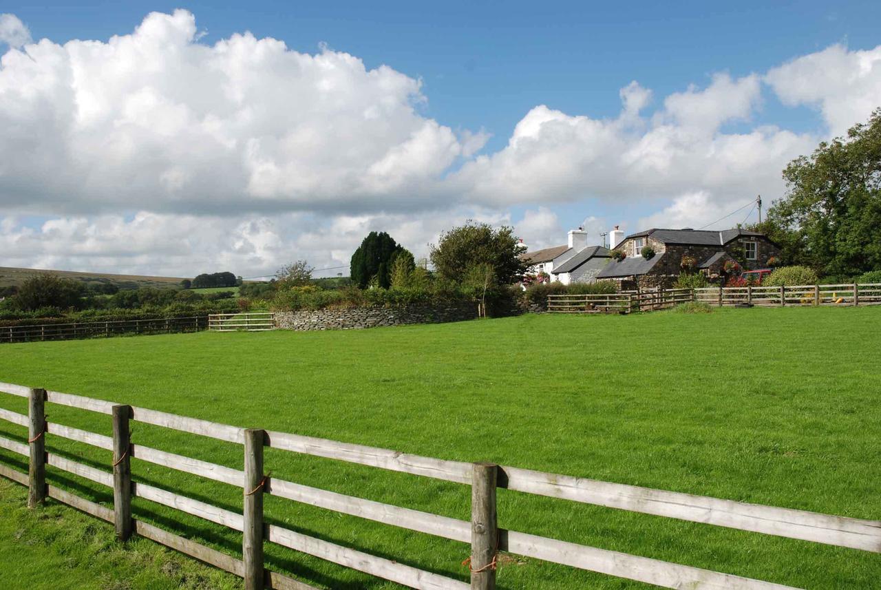 The Elephants Nest Inn Marytavy Oda fotoğraf