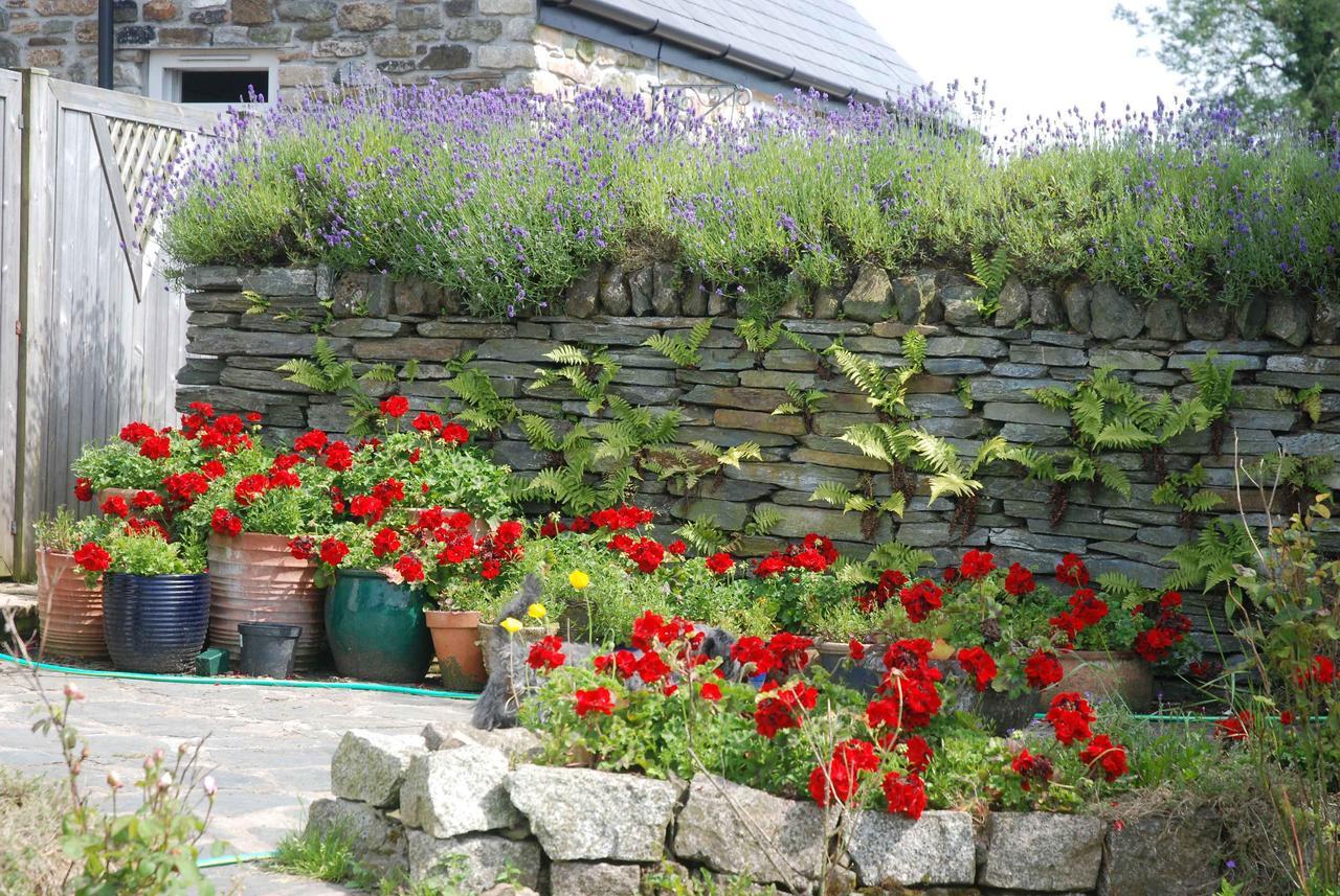 The Elephants Nest Inn Marytavy Dış mekan fotoğraf